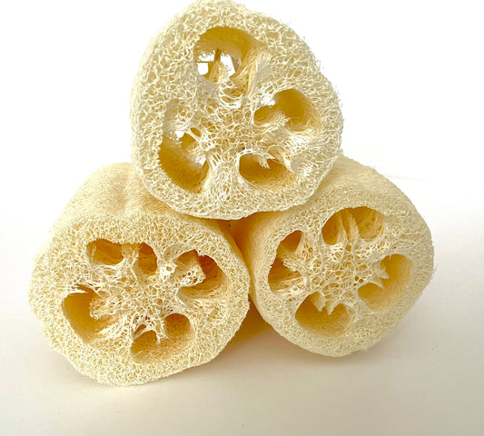 Natural Loofah